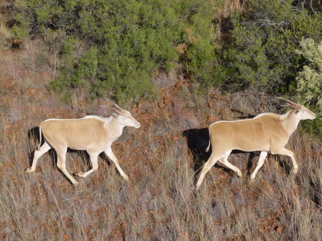 Red Sands Country Lodge Kuruman Εξωτερικό φωτογραφία